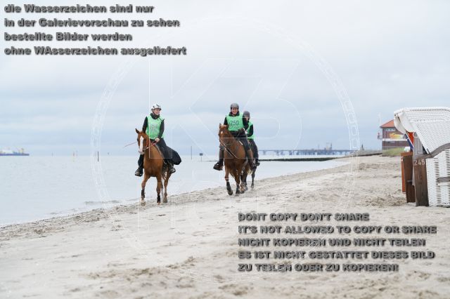 s_K3F04869.JPG